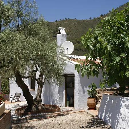 Villa In With Private Pool Acebuchal